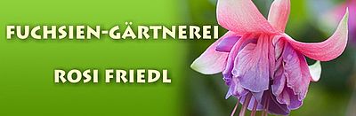 Efeusammlung der Fuchsiengärtnerei Rosi Friedl