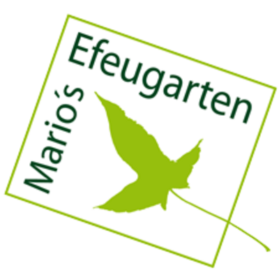 Marios Efeugarten